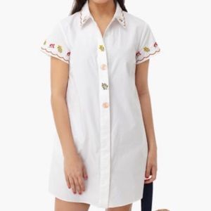 English Factory Button Shift Dress from Tuckernuck
